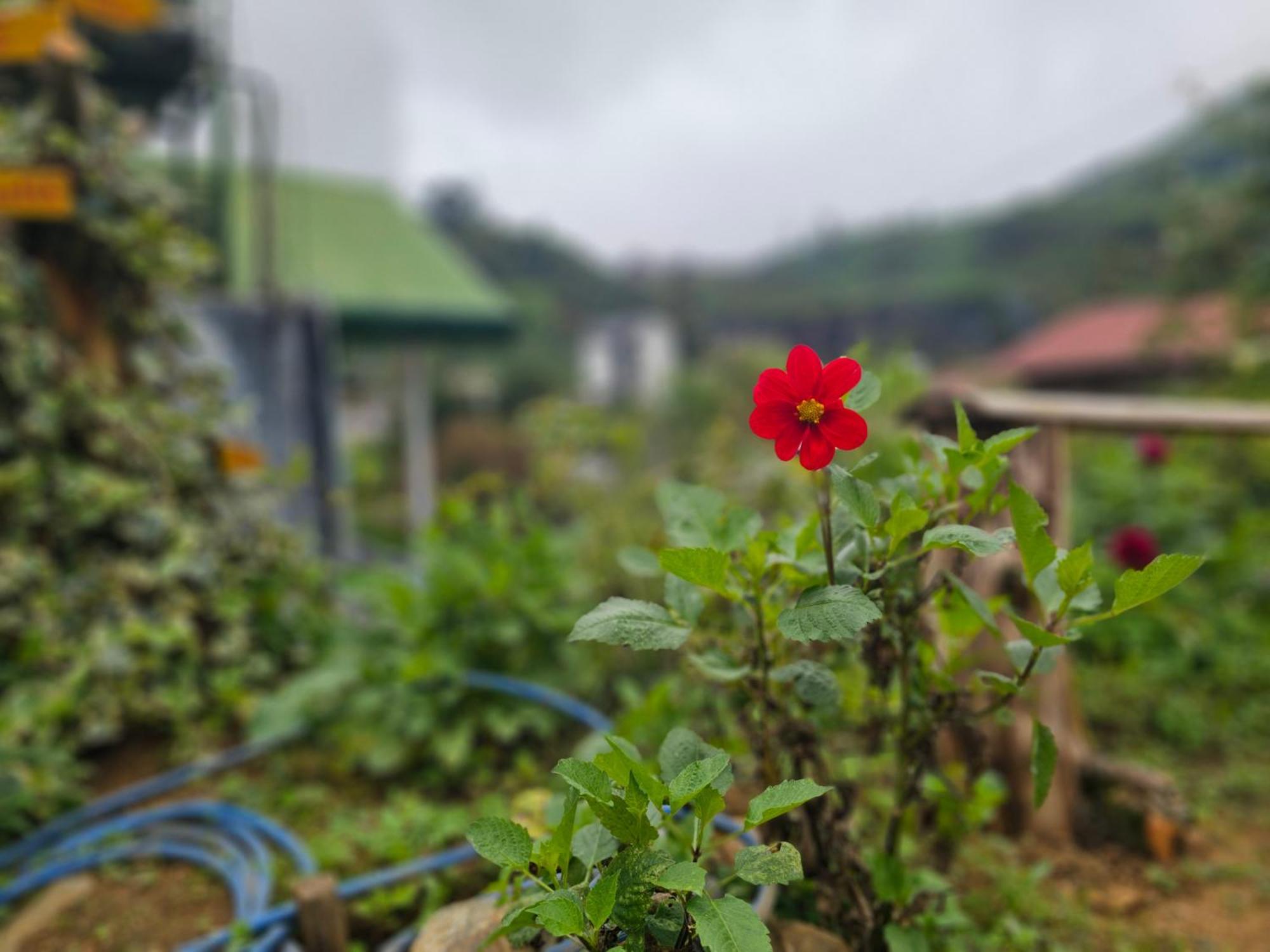Haven Backpackers Hostel Nuwara Eliya Bagian luar foto