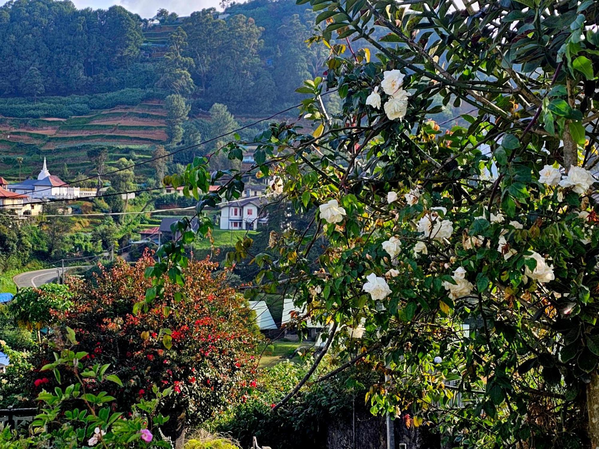 Haven Backpackers Hostel Nuwara Eliya Bagian luar foto